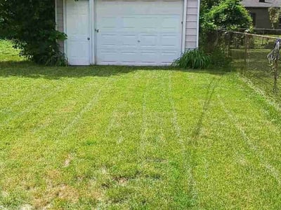 Lawn care service in Taylor, 48180