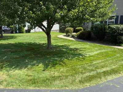 Lawn care service in Greensburg, 15601