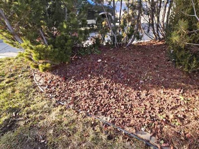 Lawn care service in , 