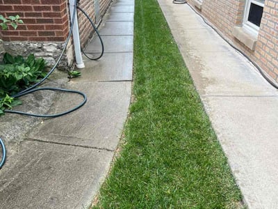 Lawn care service in Chicago, 60634