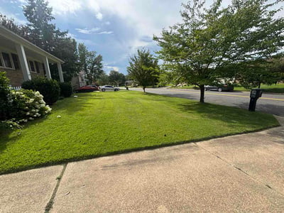 Lawn care service in Fort Washington, 20744