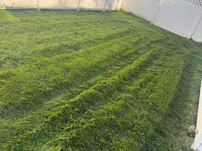 Lawn care service in West Allis, 53214