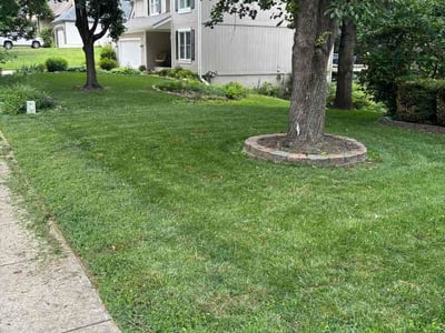 Lawn care service in Kansas City, 64151
