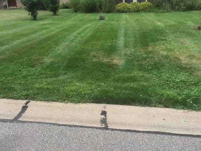 Lawn care service in Strongsville, 44149