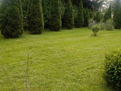 Lawn care service in Columbus, 43227