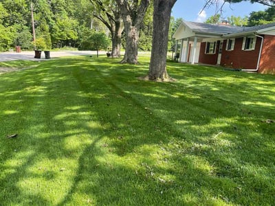 Lawn care service in Dayton, 45432