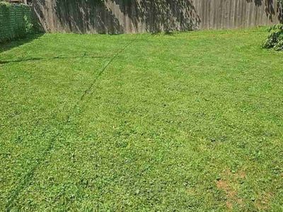 Lawn care service in Mundelein, 60060