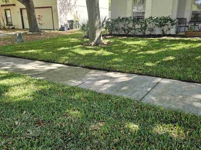 Lawn care service in Clermont, 34711