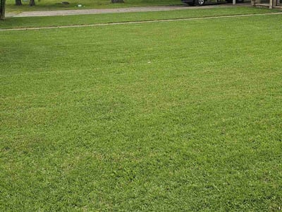 Lawn care service in Cabot, 72023