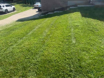 Lawn care service in Florence, 41042