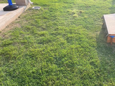 Lawn care service in Leander, 78641