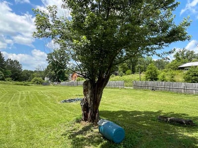 Lawn care service in Honea Path, 29654