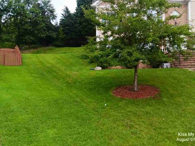 Lawn care service in Roanoke, 24018