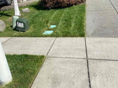 Lawn care service in Ridgefield, 98642