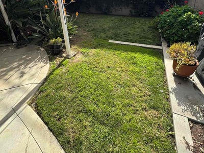 Lawn care service in Artesia, 90701