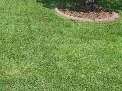Lawn care service in Myrtle Beach, 29588