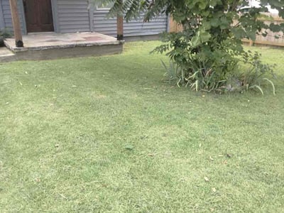 Lawn care service in Atlanta, 30344