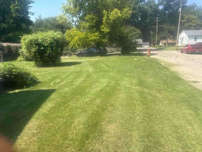 Lawn care service in Alton, 62002