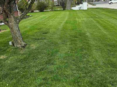 Lawn care service in Brown Deer, 53223