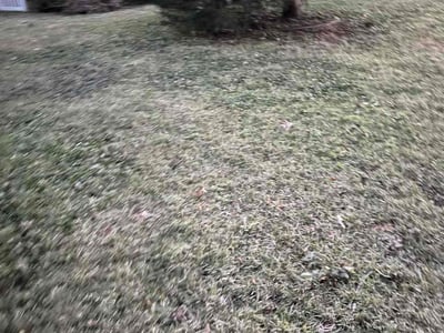 Lawn care service in Virginia Beach, 23452