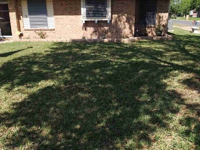 Lawn care service in Corpus Christi, 78414