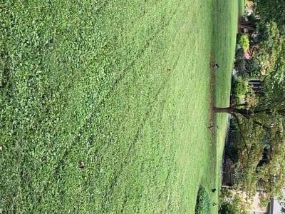 Lawn care service in Louisville, 40205