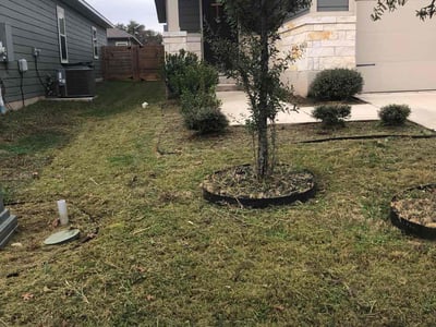 Lawn care service in Leander, 78641