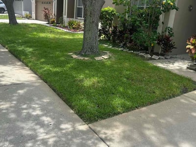Lawn care service in Riverview, 33579