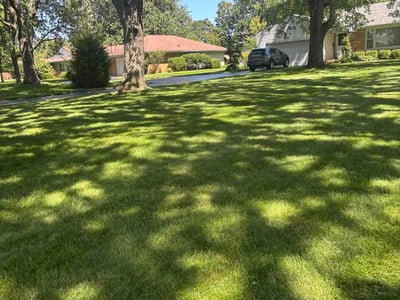 Lawn care service in Englewood, 45322