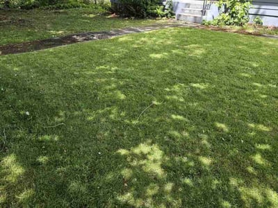 Lawn care service in Shoreline, 98155
