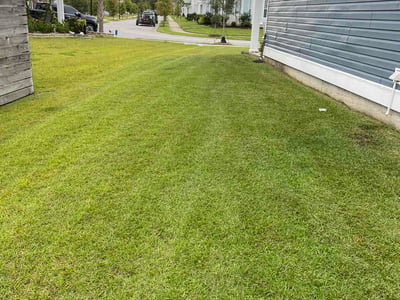Lawn care service in Summerville, 29483