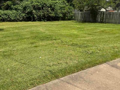 Lawn care service in Olathe, 66061