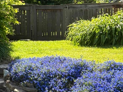 Lawn care service in Portland, 97214