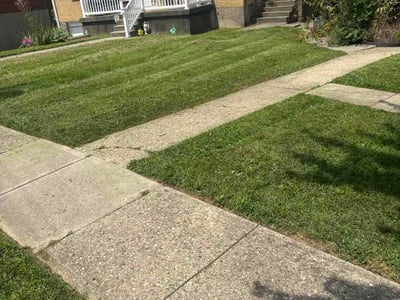 Lawn care service in Cincinnati, 45238