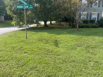 Lawn care service in Huntersville, 28078