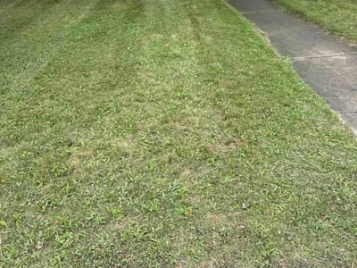 Lawn care service in Battle Creek, 49015