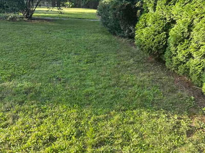 Lawn care service in Carver, 02330
