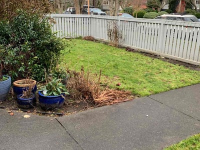 Lawn care service in Seattle, 98115