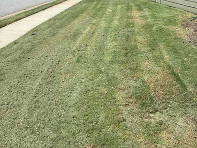 Lawn care service in Taylors, 29687
