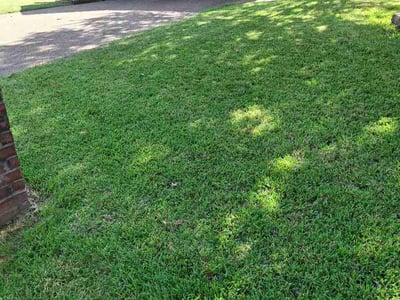 Lawn care service in Rockwall, 75032