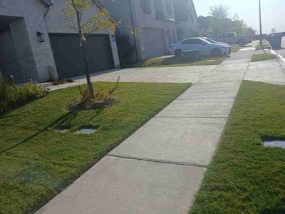 Lawn care service in Lavon, 75166