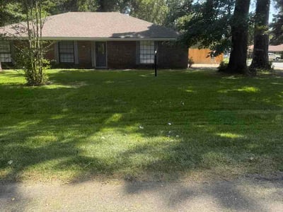 Lawn care service in Haughton, 71037