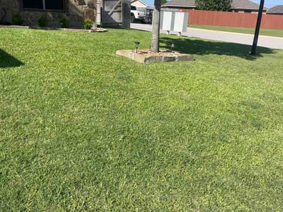 Lawn care service in Temple, 76502