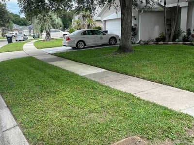 Lawn care service in Orlando, 32825