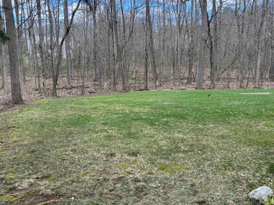 Lawn care service in Clifton Park, 12065