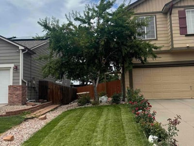Lawn care service in Longmont, 80503