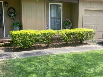 Lawn care service in Dothan, 36301