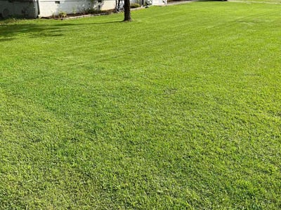 Lawn care service in Birmingham, 35214