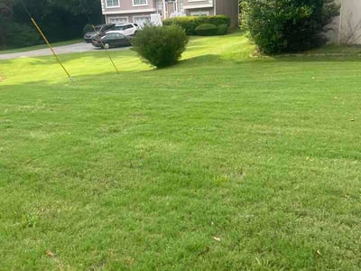 Lawn care service in Powder Springs, 30127