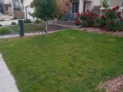 Lawn care service in Colorado Springs, 80922